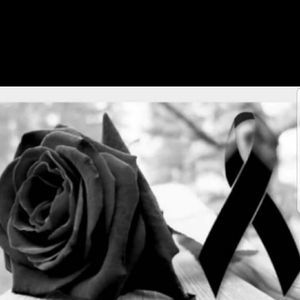 Meet your Posher, Noel